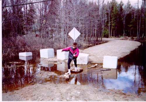 run12_a.jpg (61749 bytes)