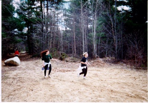 run12_e.jpg (60413 bytes)