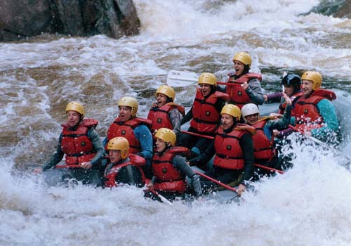 run180_e.jpg (44967 bytes)