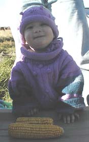 run204_d.jpg (14833 bytes)